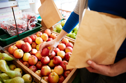 Paper Bags