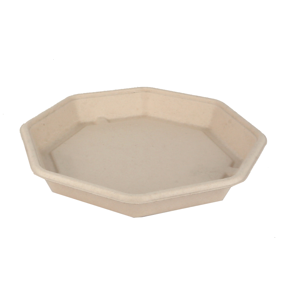 Bagasse BePulp Octagonal Plate 830ml 23 x 23 x 3cm (100)